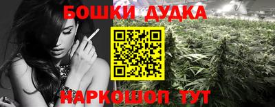 молекула духа Новодвинск