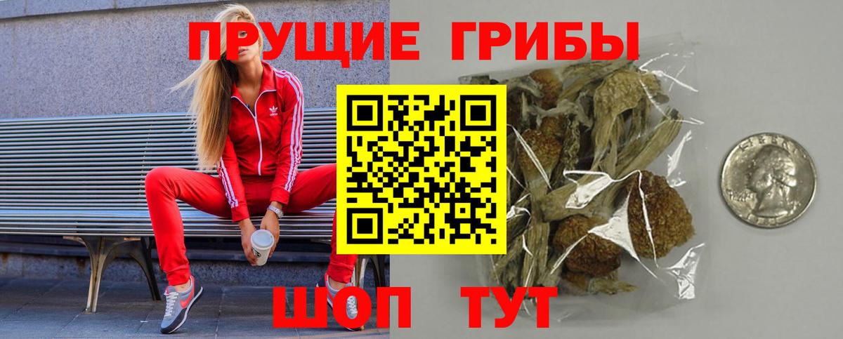 Галлюциногенные грибы Psilocybe  Вход с VPN  Батайск  Галлюциногенные грибы GOLDEN TEACHER 