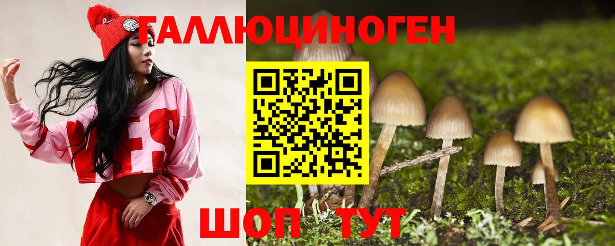 Псилоцибиновые грибы Psilocybe Батайск